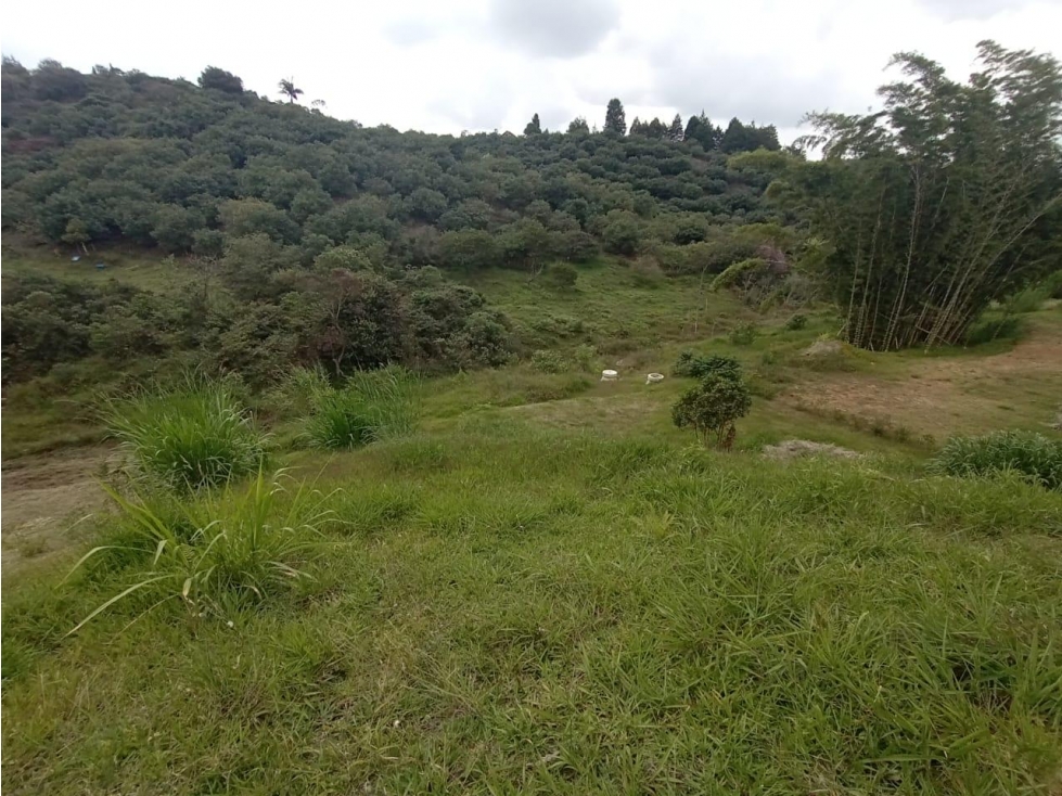 SE VENDE LOTE EN CONDOMINIO GUARNE RIONEGRO 1919 MTS. — foto 3