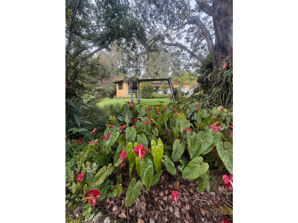 SE VENDE FINCA EN EL RETIRO ANTIOQUIA — foto 4