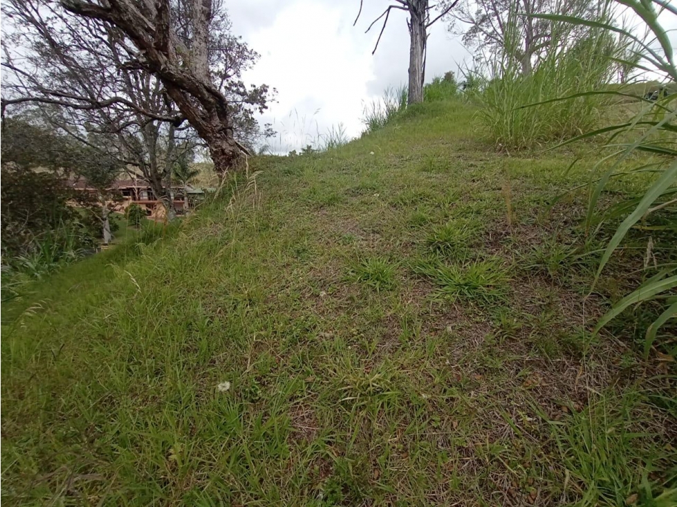 SE VENDE LOTE EN CONDOMINIO GUARNE RIONEGRO 1919 MTS. — foto 6