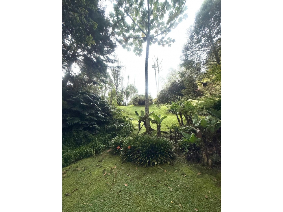SE VENDE FINCA EN EL RETIRO ANTIOQUIA — foto 5