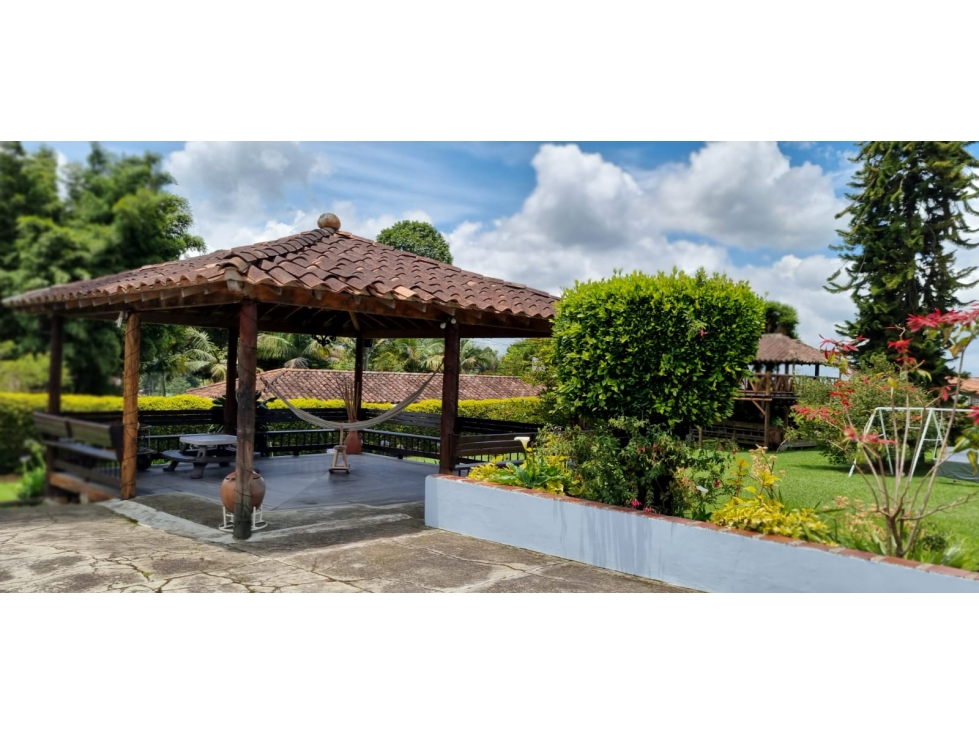 SE ARRIENDA CASA LOTE EN EL CARMEN DE VIVORAL ANTIOQUIA - 5