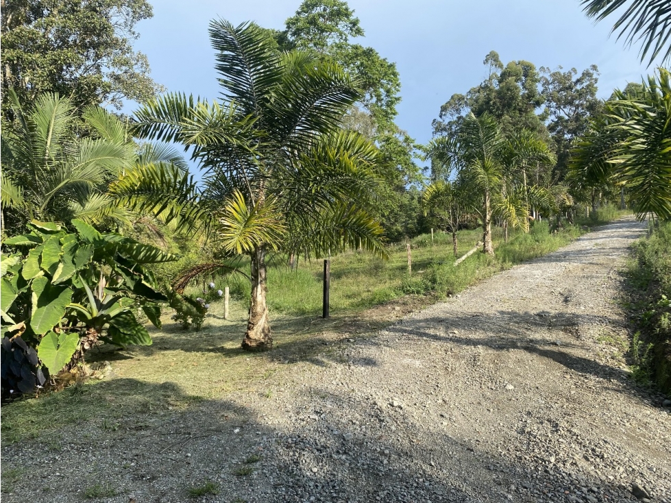 VENTA LOTE SECTOR ARENILLO