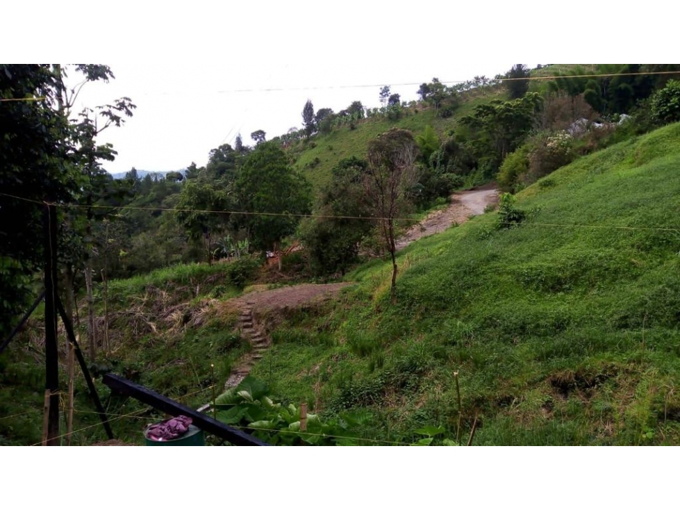 VENTA LOTE SECTOR LA CABAÑA