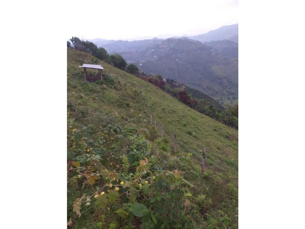 VENTA LOTE VEREDA ALTO DEL NARANJO