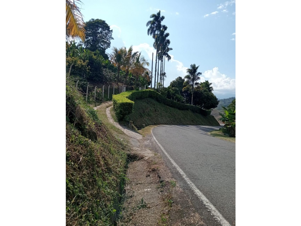 VENTA/PERMUTA LOTE AV. TRONCAL DEL OCCIDENTE