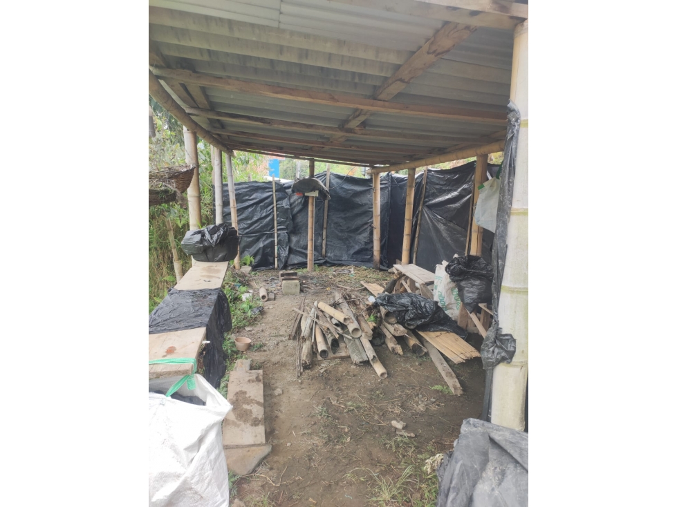 VENTA LOTE / TERRENO EN VEREDA LA ALTA ARGELIA — foto 3