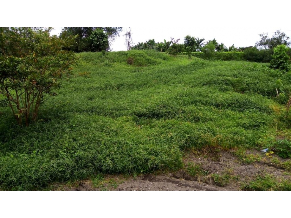 VENTA LOTE SECTOR LA CABAÑA — foto 3