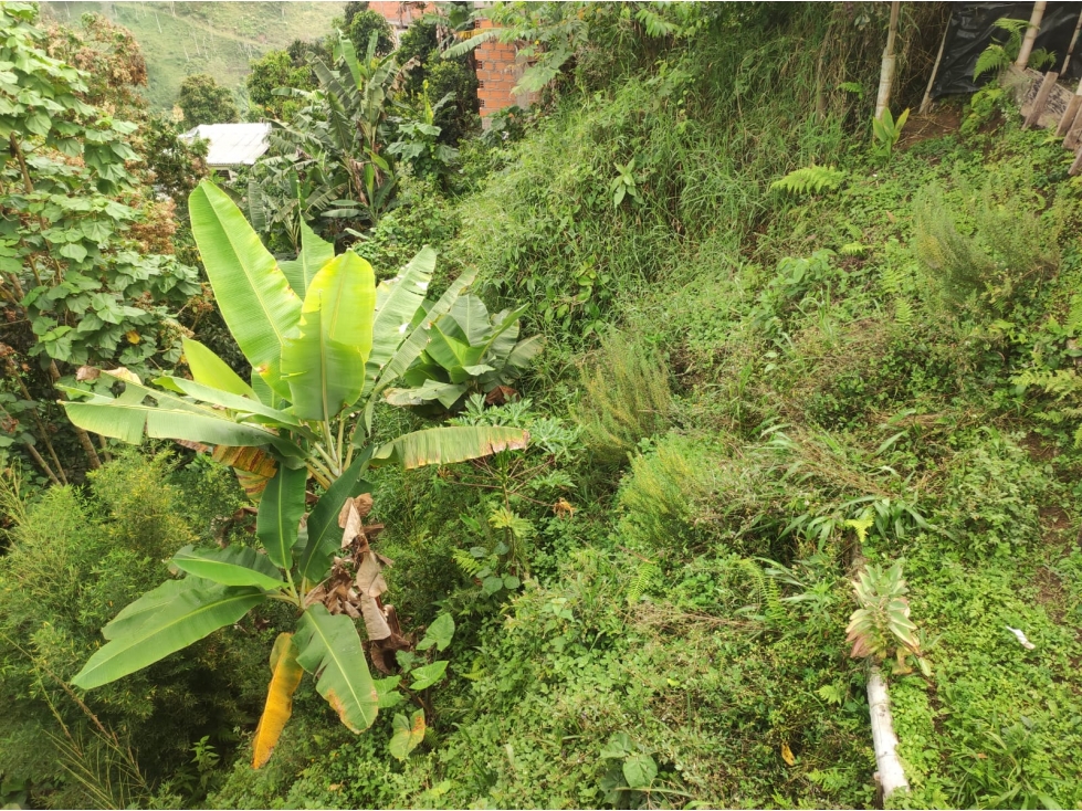 VENTA LOTE / TERRENO EN VEREDA LA ALTA ARGELIA — foto 2