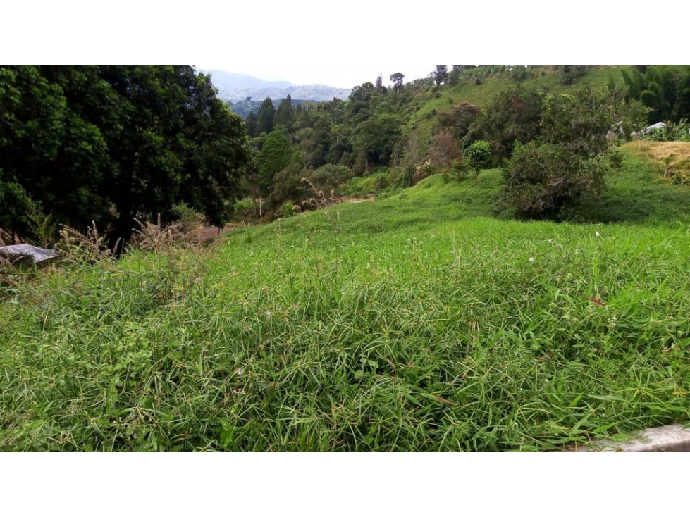 VENTA LOTE SECTOR LA CABAÑA — foto 5