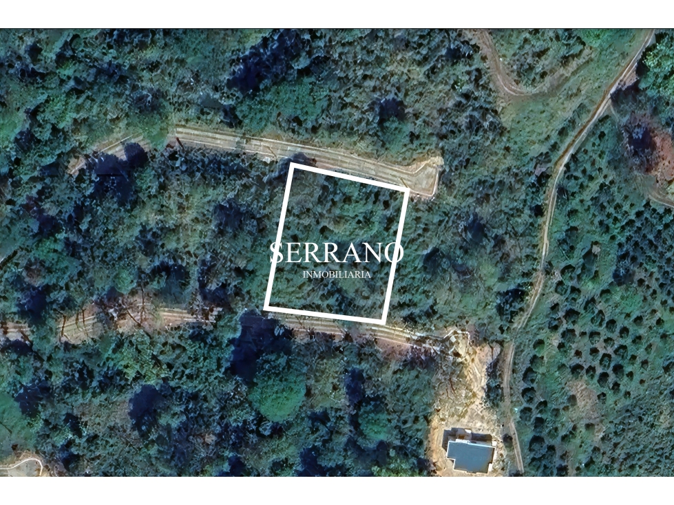 LOTE EN VENTA EN BUENA VISTA LAKE BETULIA LEBRIJA - 2