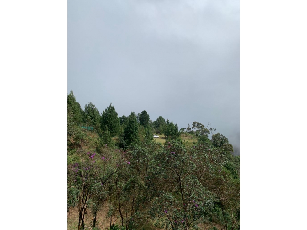 Lote en Venta Valle de la Miel Envigado — foto 2