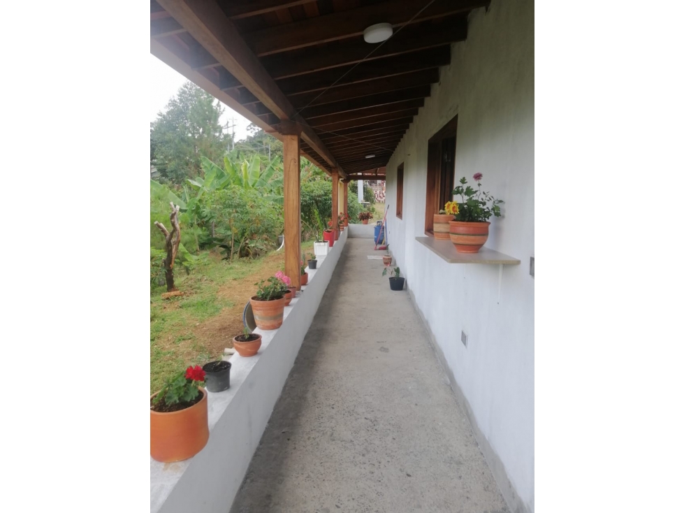 VENTA DE CASA CAMPESTRE ENTRE TARSO Y PEBLO RICO ANTIOQUIA — foto 3