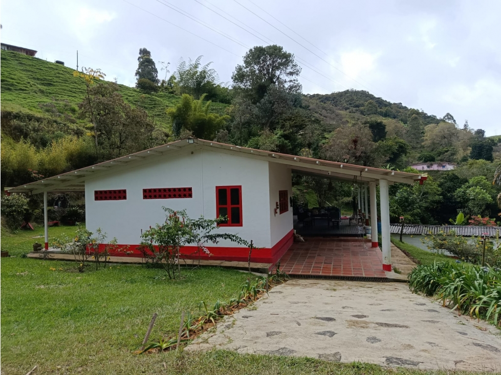 Finca Productora en Santo Domingo Antioquia