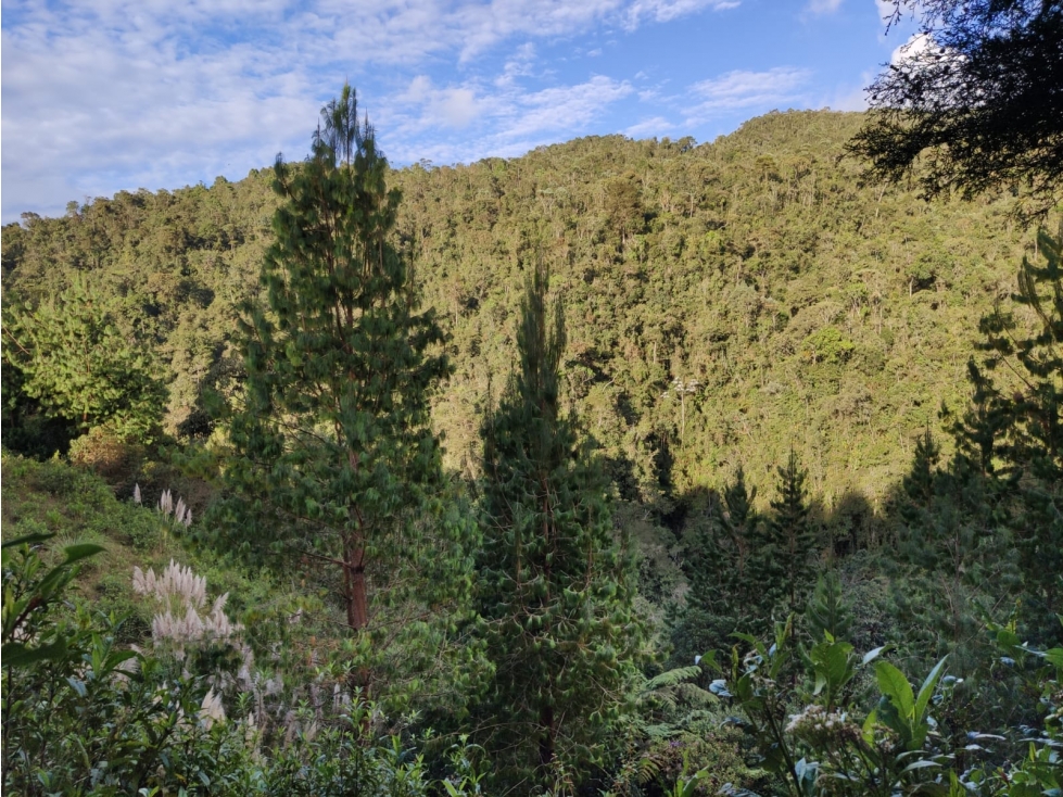Lote en Venta Valle de la Miel Envigado — foto 3