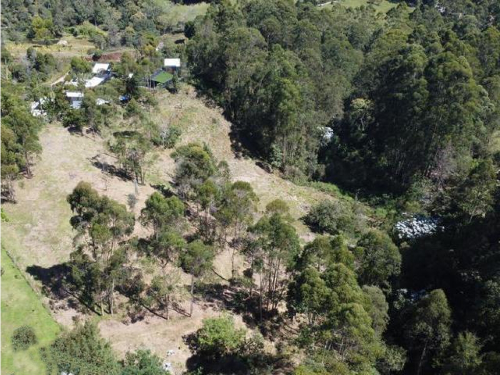 Lote en Venta en Rionegro, Vereda La Convención. — foto 3