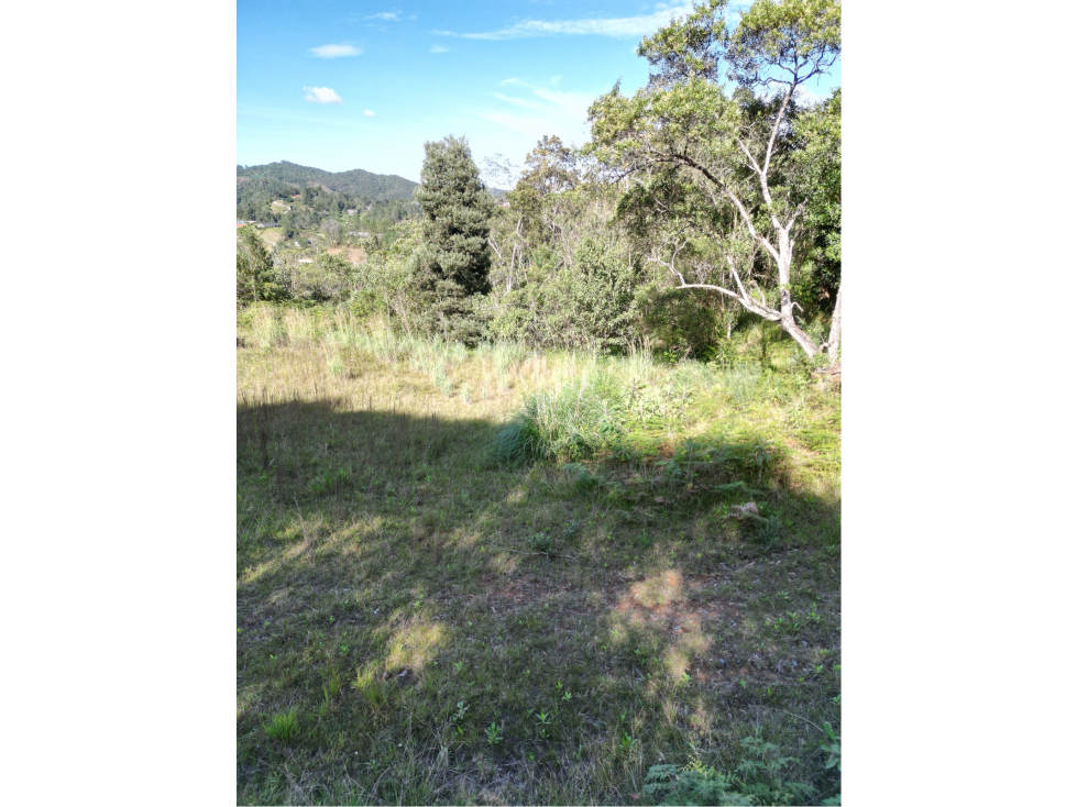 Lote en venta alto del escobero — foto 4