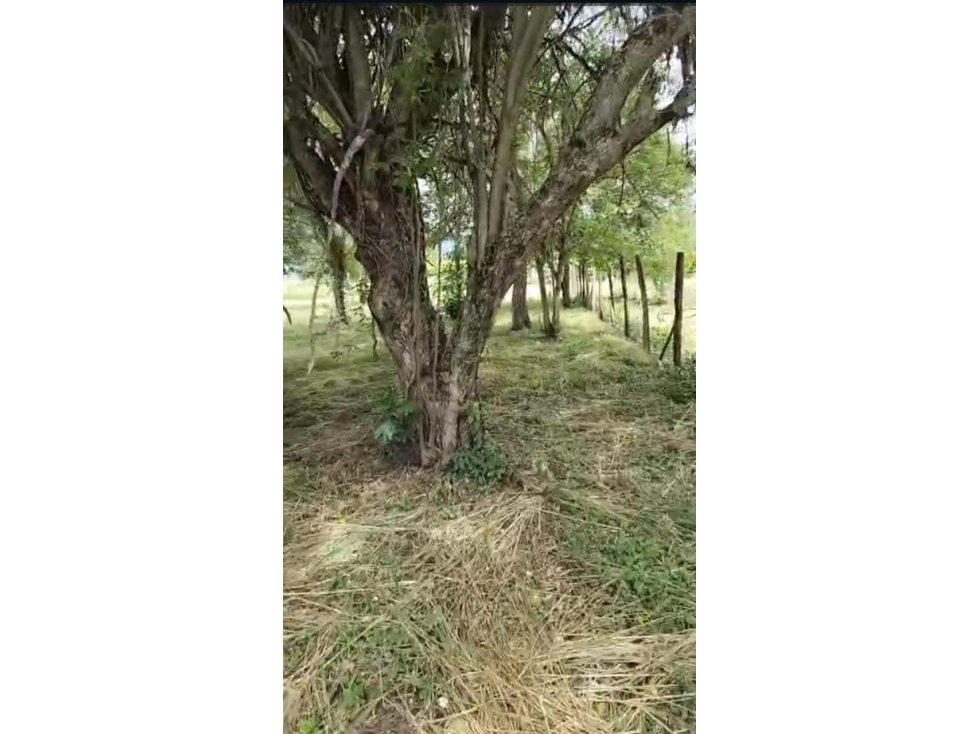 VENTA LOTE EN SOPETRAN POR LA Y QUE GIRA A SANTA FE — foto 4