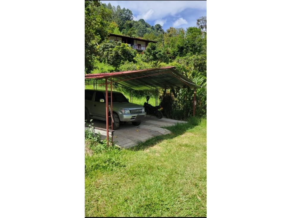 VENTA DE FINCA PRODUCTIVA EN TAMESIS ANTIOQUIA — foto 4