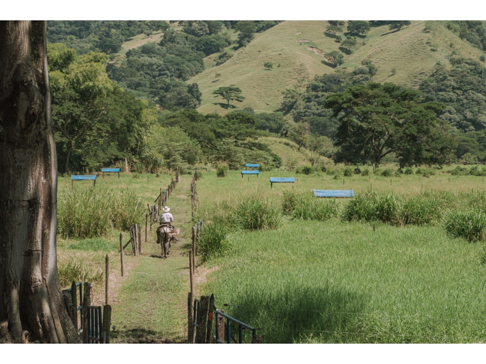 Cesión de Derechos Lote en Hacienda Santa Clara Bolombolo-Salgar — foto 6