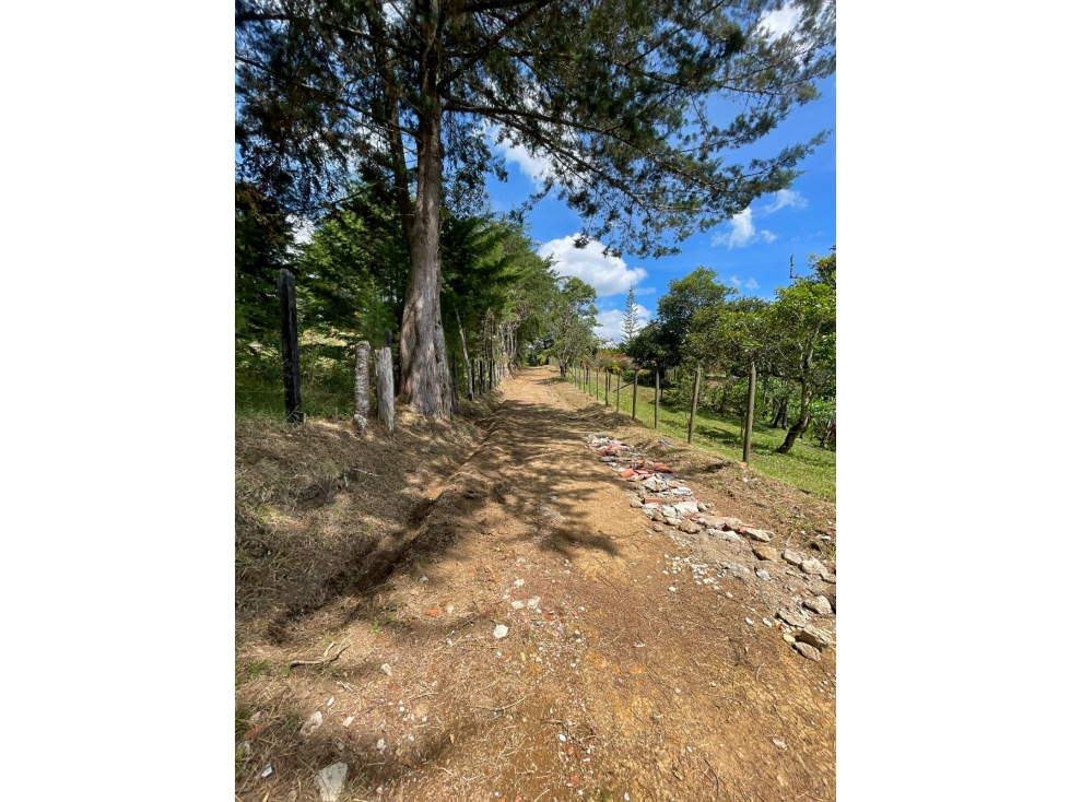 Casa para Arriendo tradicional Llanogrande La Ceja, Pontezuela. - 6