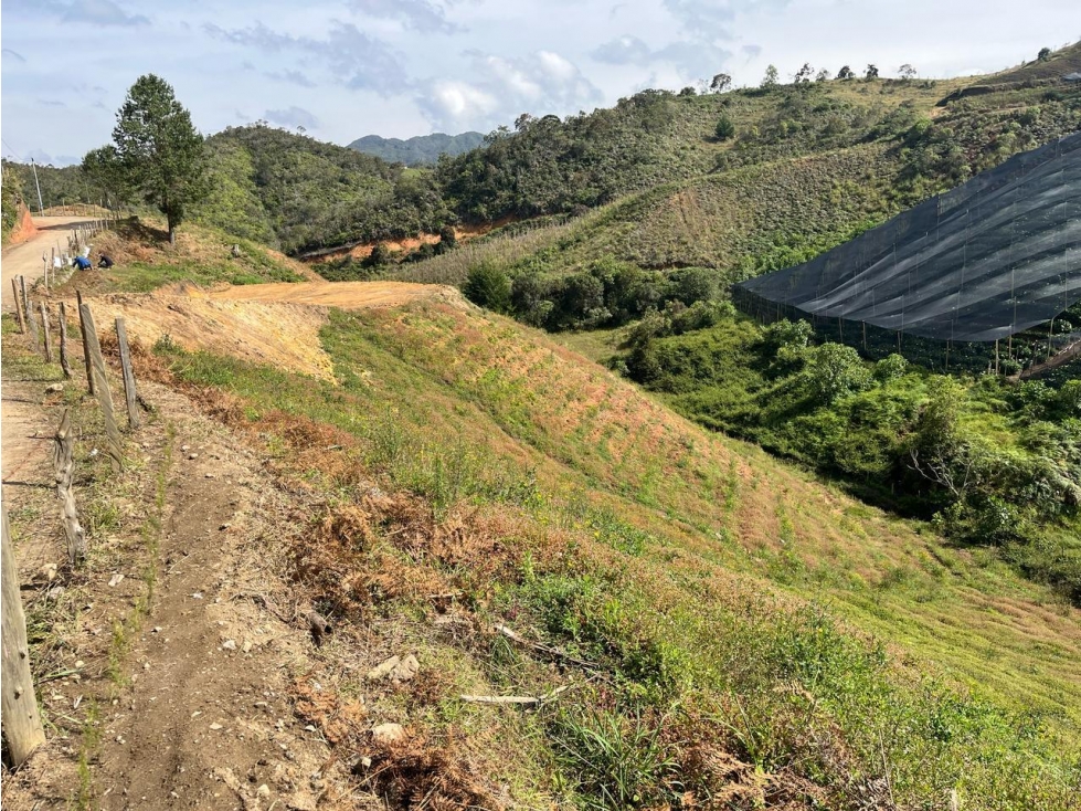 LOTE EN VEREDA MONTEGRANDE EN SAN VICENTE DE FERRER — foto 5