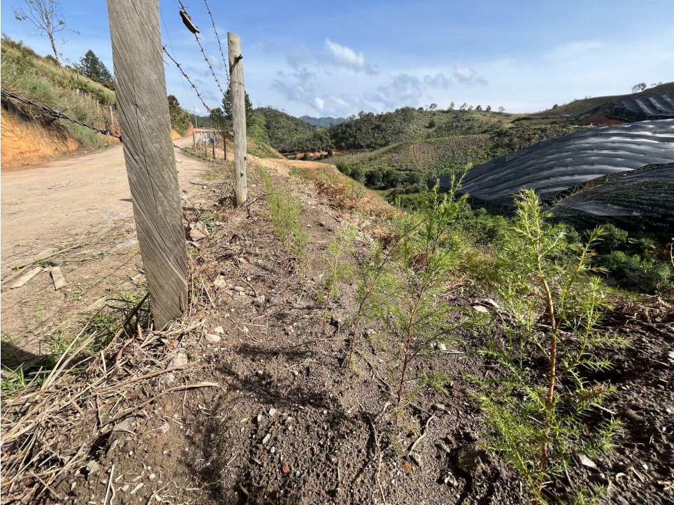 LOTE EN VEREDA MONTEGRANDE EN SAN VICENTE DE FERRER — foto 6