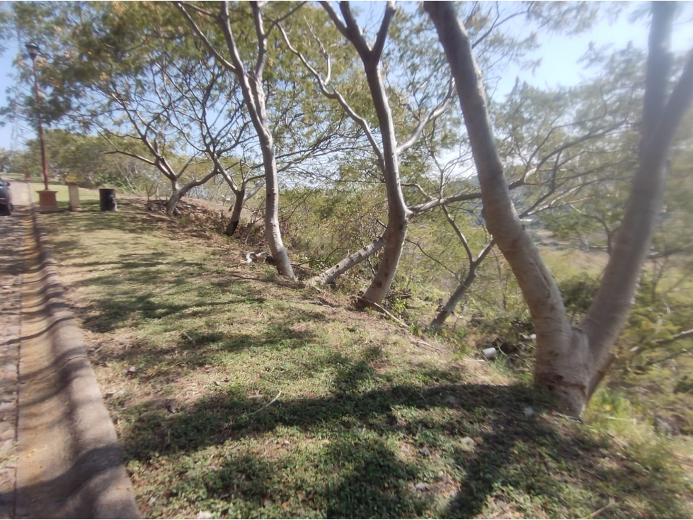VENTA DE TERRENO EN RANCHO DORADO, SAHUAYO, MICHOACÁN . - 1