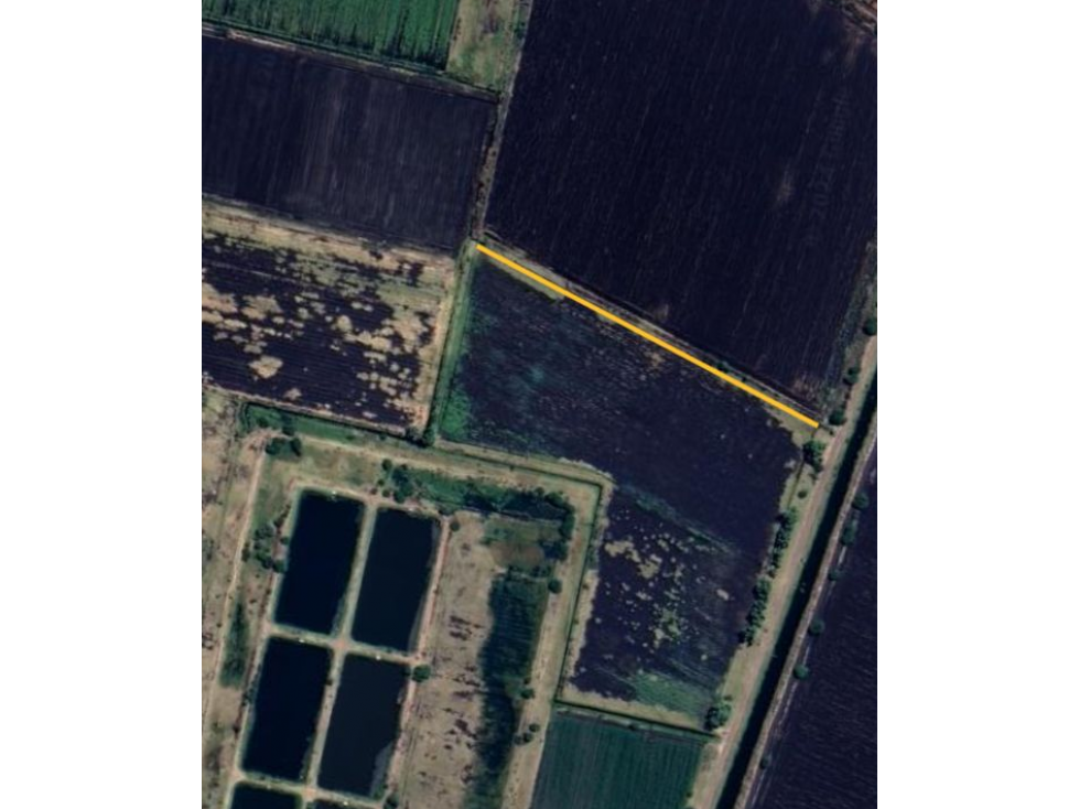 TIERRA EN VENTA CERCA DE LA AUTOPISTA SAHUAYO- JIQUILPAN - 2