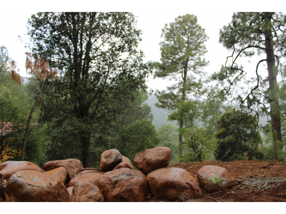 TERRENO EN SIERRA DEL TIGRE, VALLE DE JUAREZ - 2