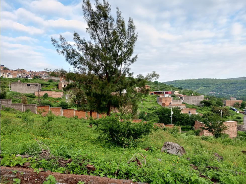 TERRENO EN JARDÍN REAL CALLE ALCATRACES SAHUAYO, MICHOACÁN. - 3