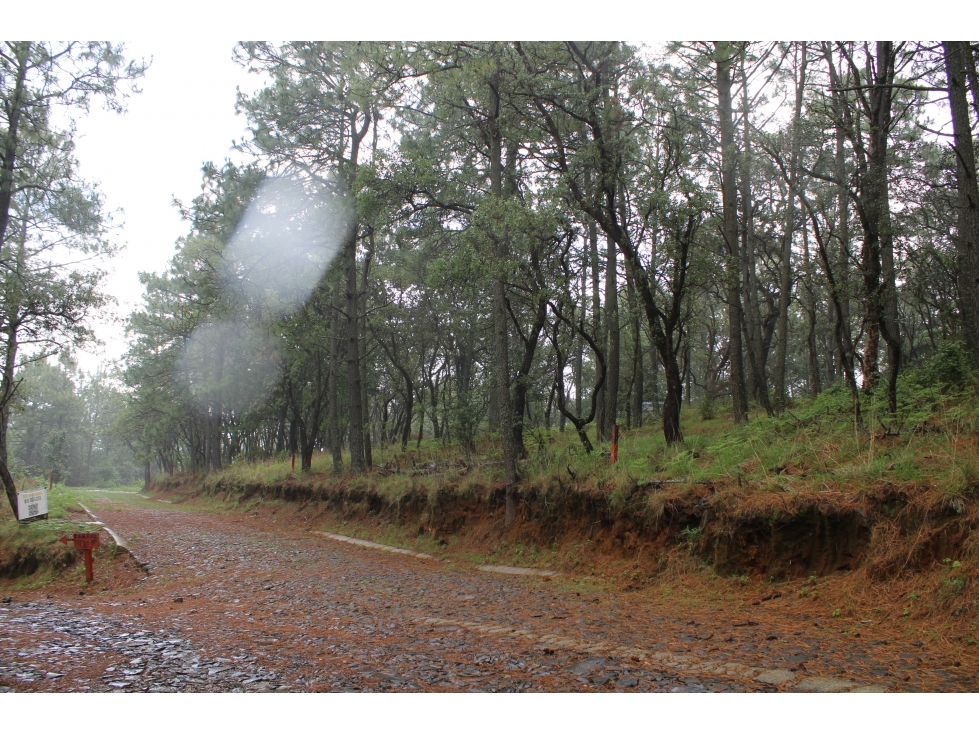 TERRENO EN SIERRA DEL TIGRE, VALLE DE JUAREZ - 3