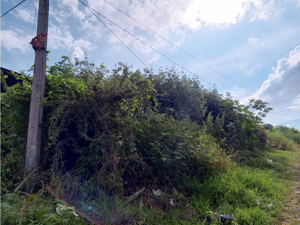 TERRENO EN VENTA ESQUINA LOMAS DEL PEDREGAL, CALLE MONTE CALVARIO - 5
