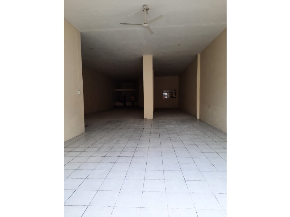 RENTA DE BODEGA Y LOCAL COMERCIAL EN SAN PEDRO DE CAHRO, MICHOACAN. - 2
