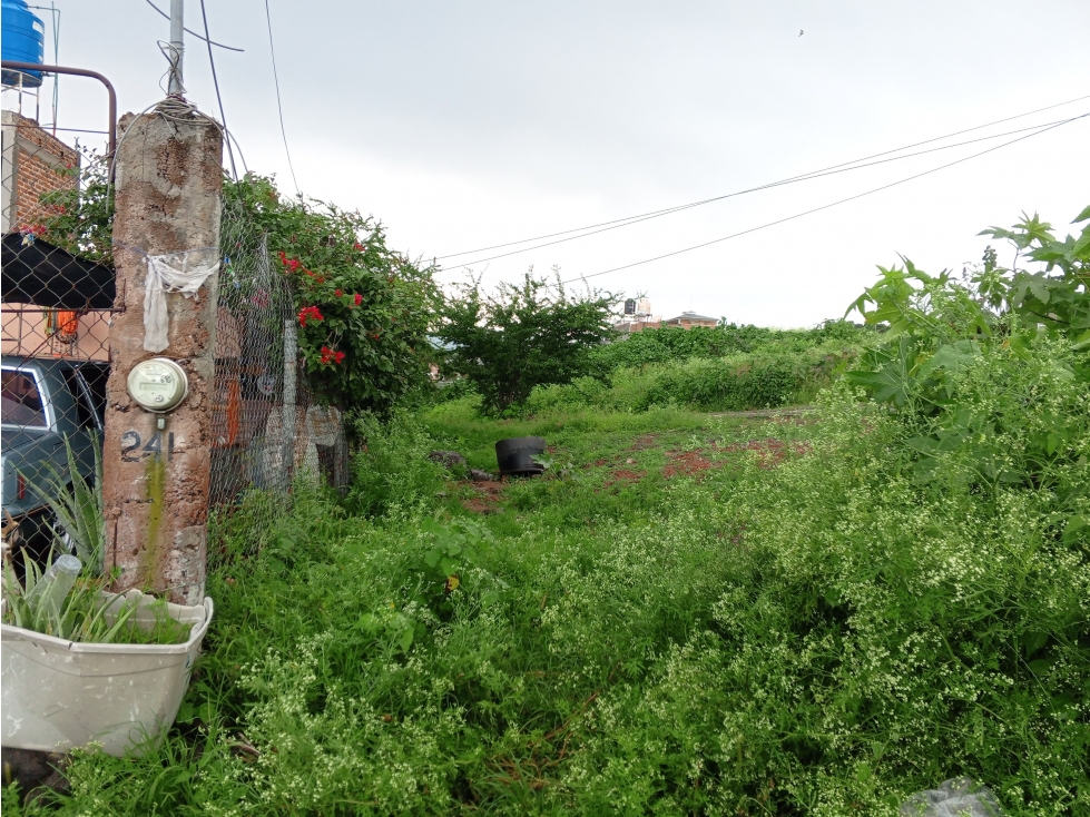 TERRENO EN VENTA EN SANTA TRINIDAD, SAN ONOFRE, SAHUAYO MICHICHOACÁN - 6