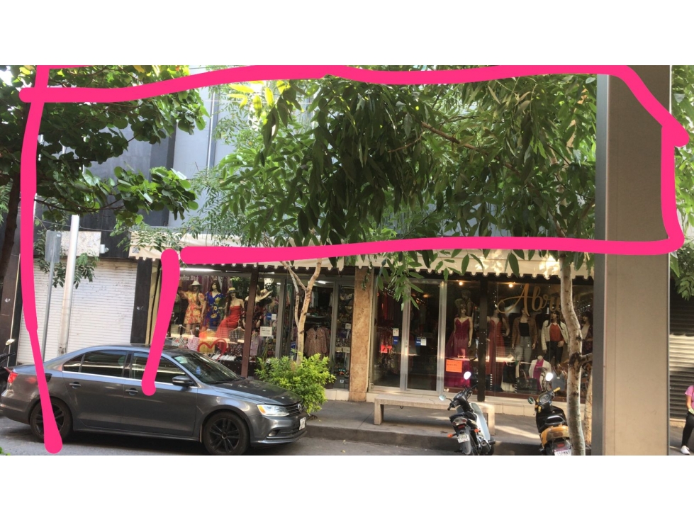 LOCAL COMERCIAL HIDALGO - 3