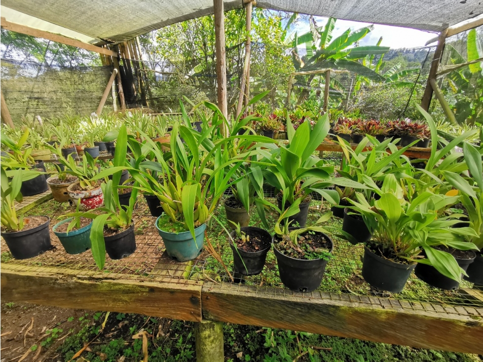 Casalote para la Venta en Rionegro el Tablazo - 6