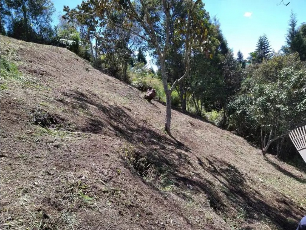 Lote Mixto para la Venta en Rionegro - 4