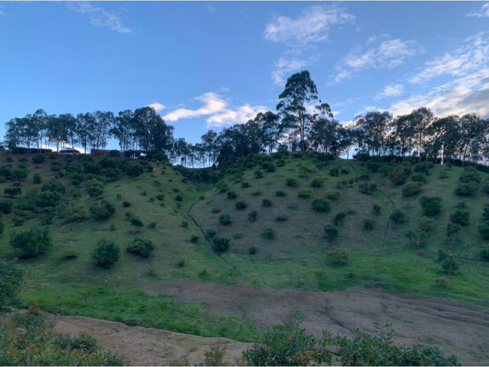 Lote para la Venta en Guarne Antioquia - 1