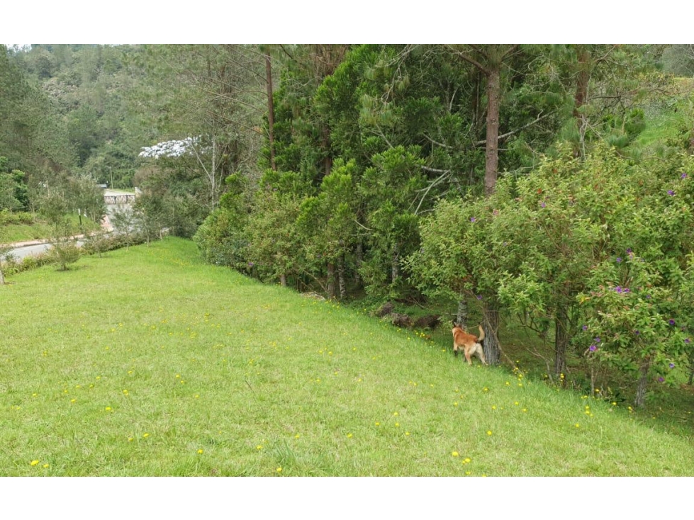 Lote para la Venta En El Retiro