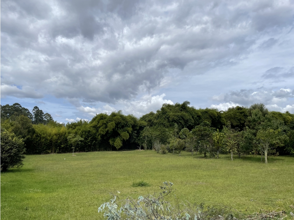 Lote en Venta en Llanogrande sector Cabeceras