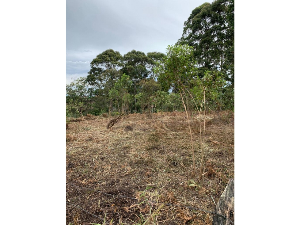 Lote en Venta en Rionegro Vereda Los Pinos reciben permuta — foto 2