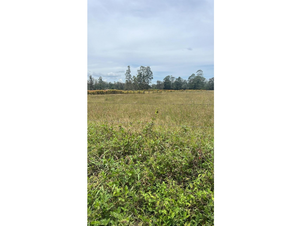 Lote en Venta en Llanogrande