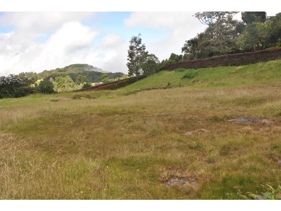 Lote en Venta en Alto de las Palmas
