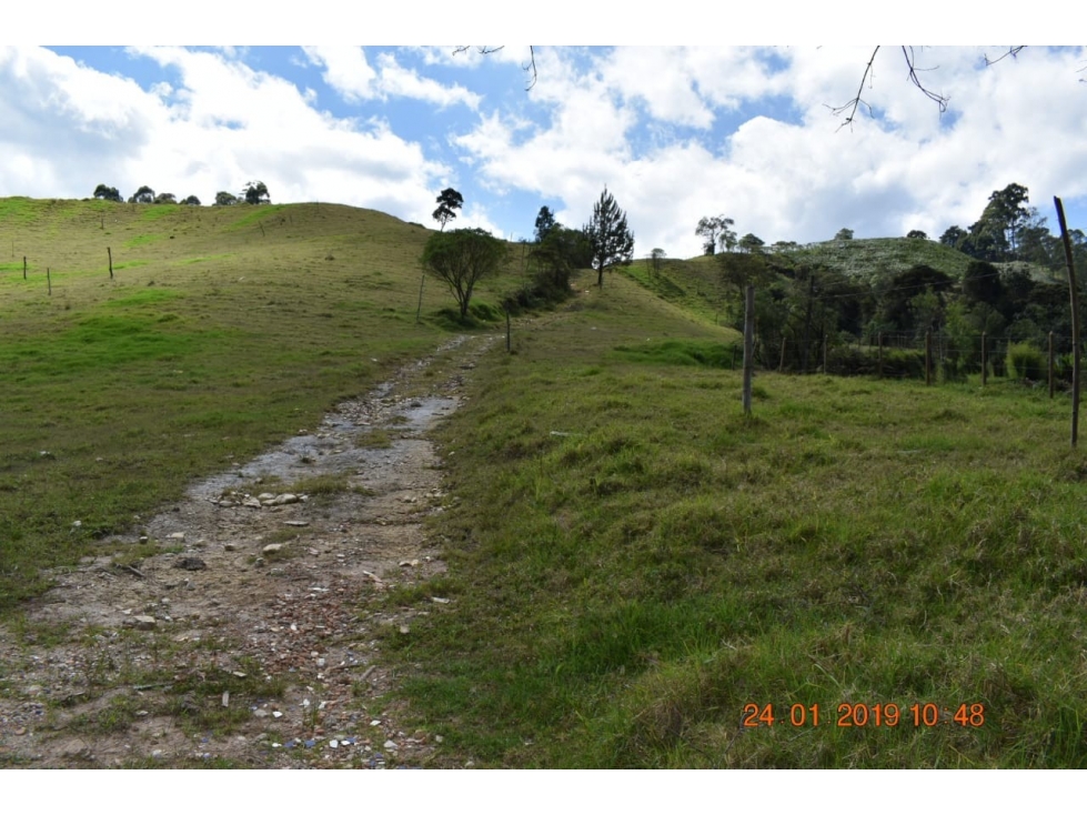 Lote en Venta en El Retiro sector El Chuscal