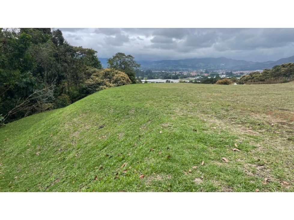 Lote en Venta vía La Ceja - Rionegro