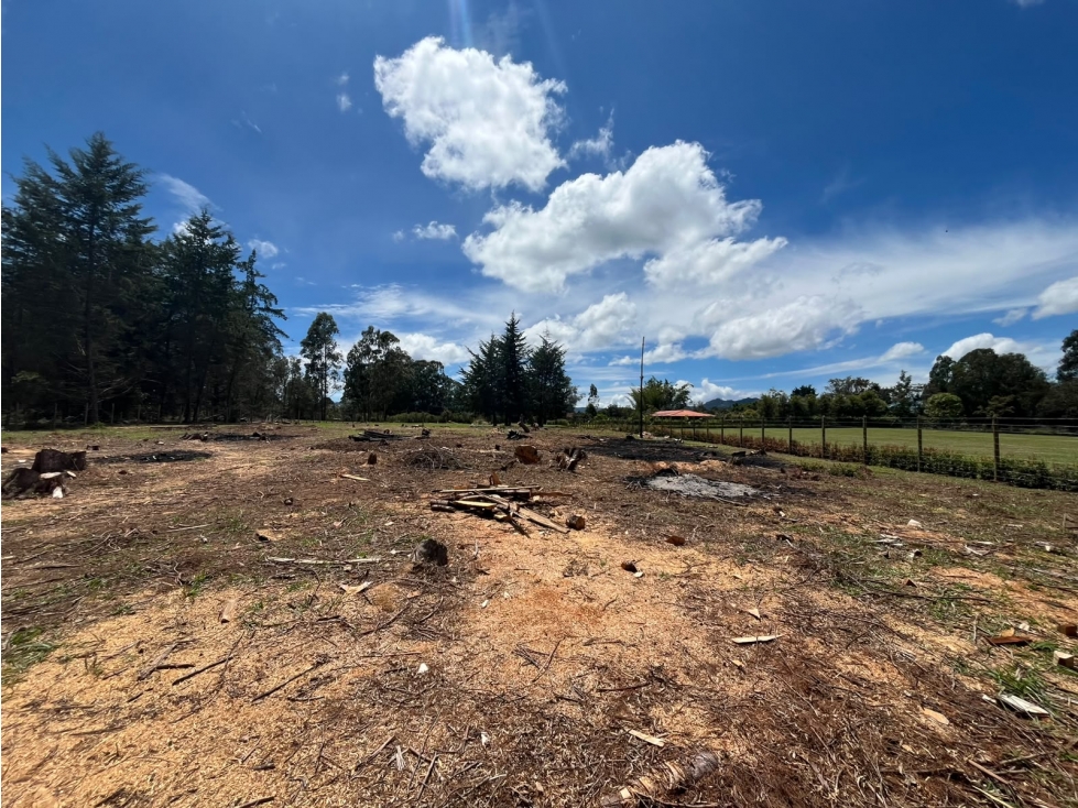 Lote en Venta Sector Llanogrande - 1