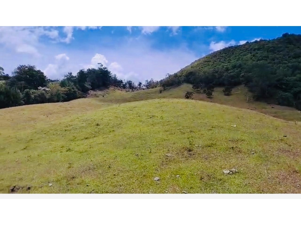 Lote en Venta Rionegro