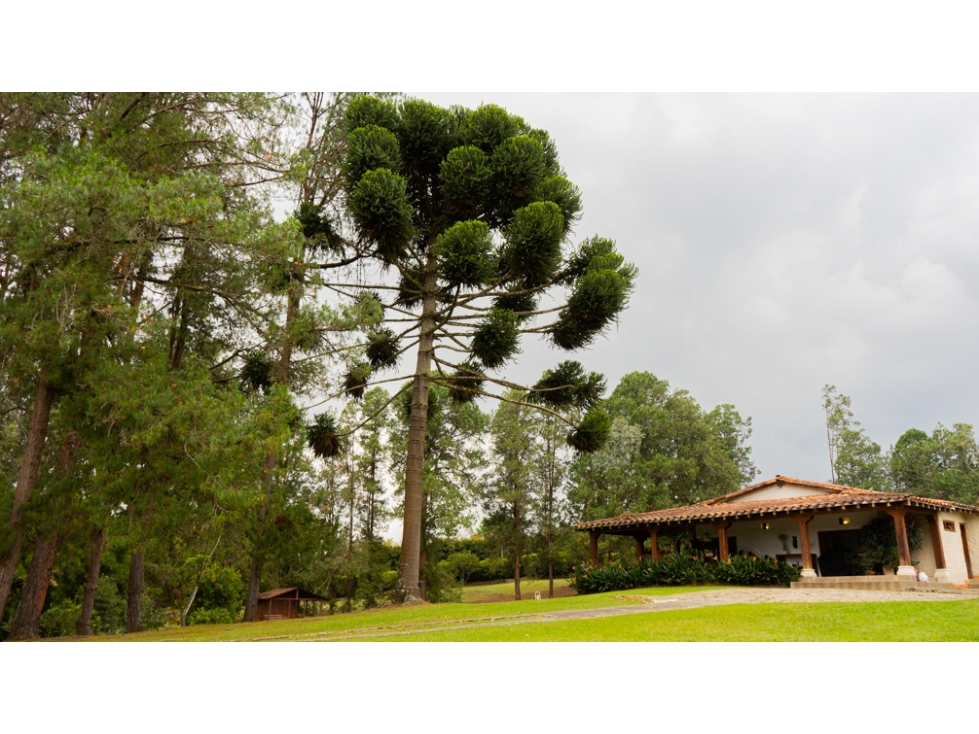 Finca para Renta Amoblada en Rionegro Sector Sajonia - 1