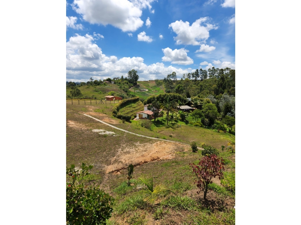 Lote para la Venta en Guarne Antioquia - 3