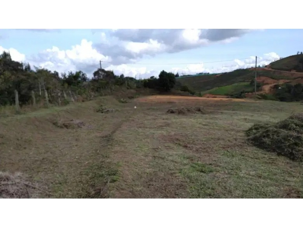 Lote Mixto para la Venta en Rionegro - 2